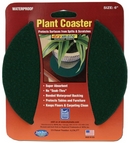 Absorbent Plant Coasters by Drymate USA. Dark Green.