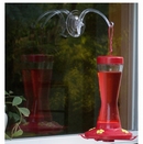  Suction cup bird feeder window hooks